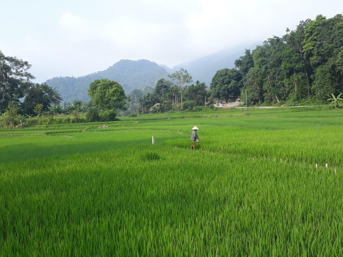 Ha Giang Faithien Homestay Экстерьер фото